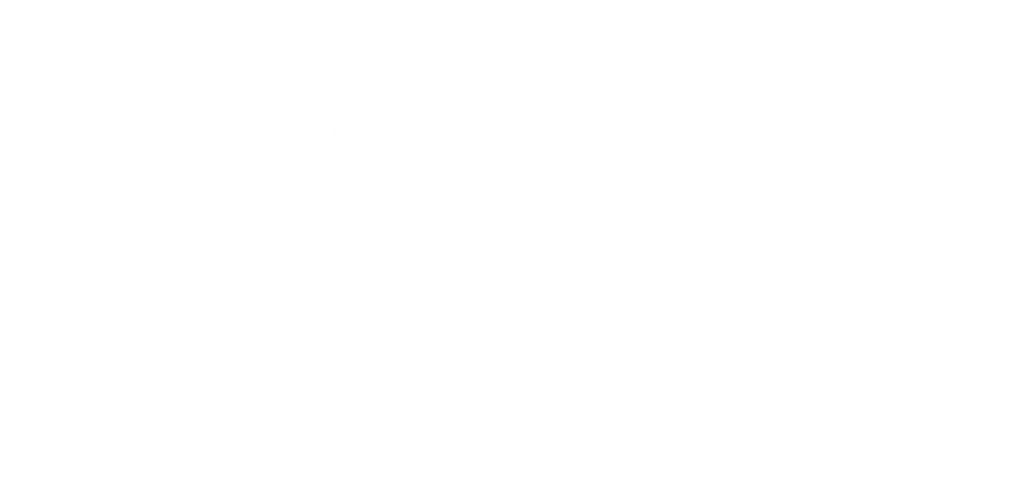 Roland Berger